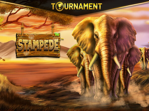 Jogos online bet